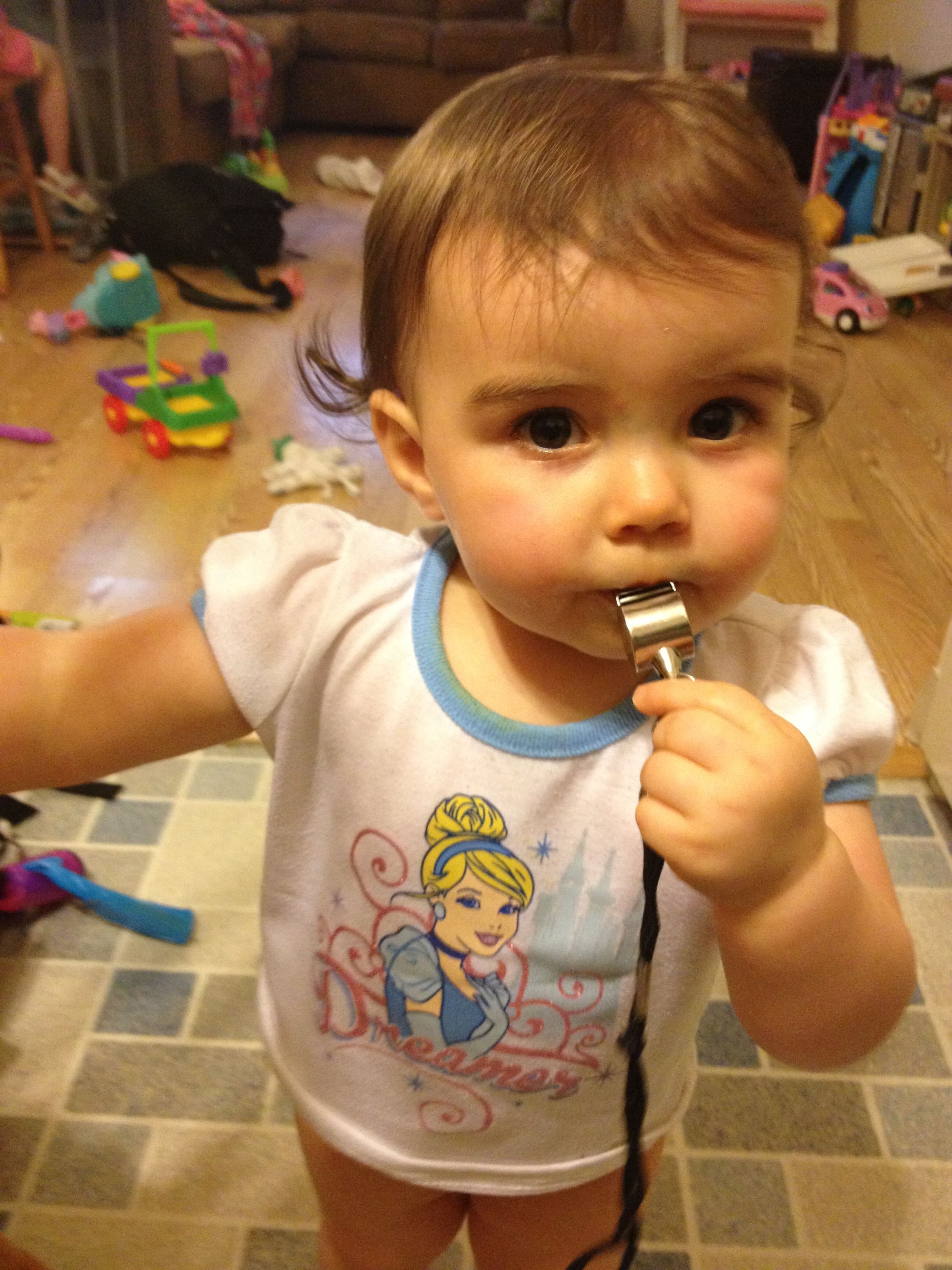 Whistle Anyone?