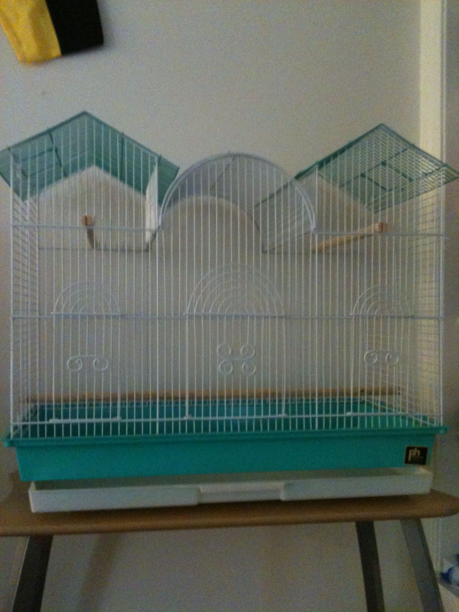 A Lesson From A Birdcage