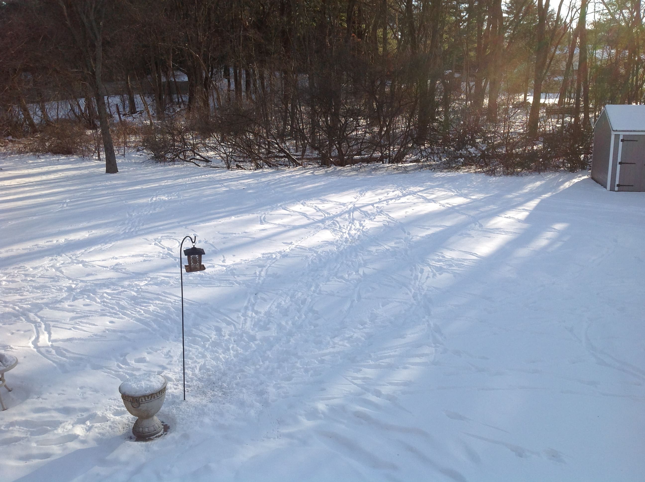 Deer, Paths & Assurance
