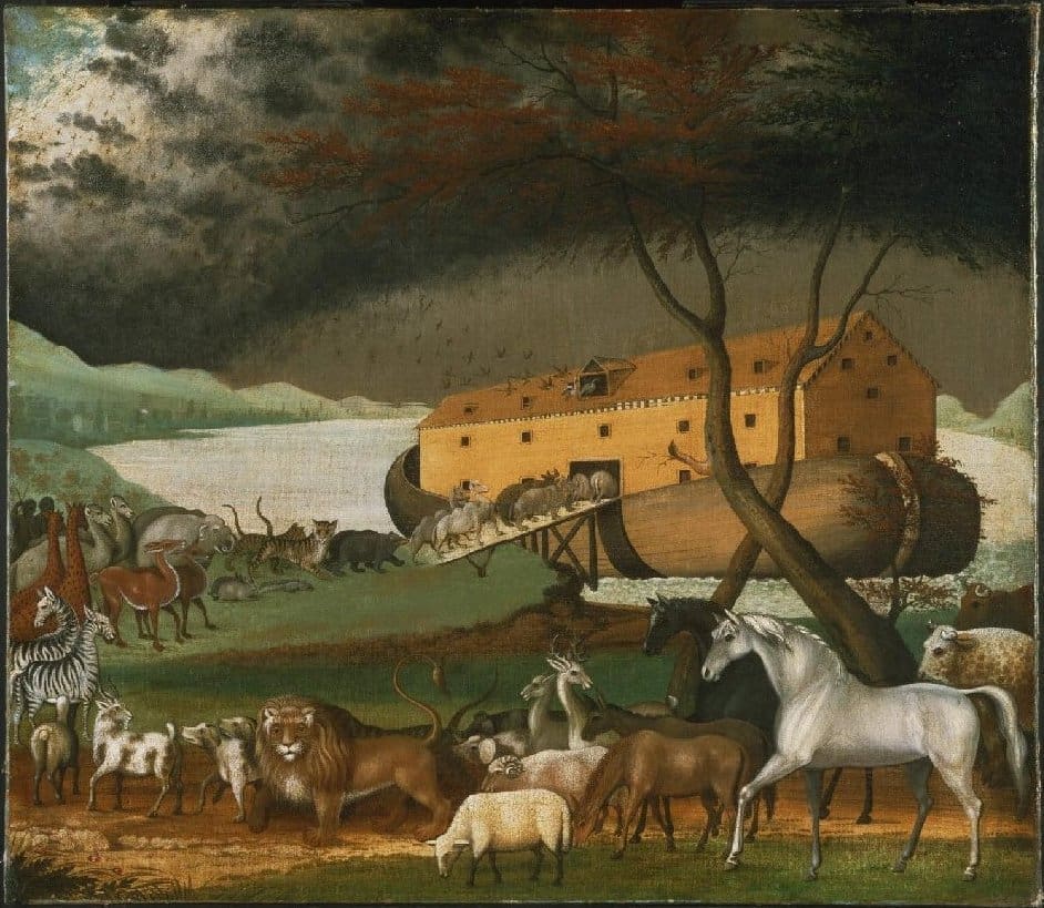 Snow Days & An Ark