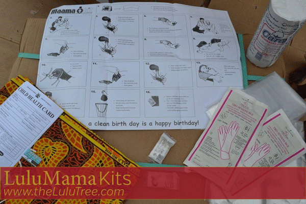 Lulu-Mama-Pregnancy-Kit