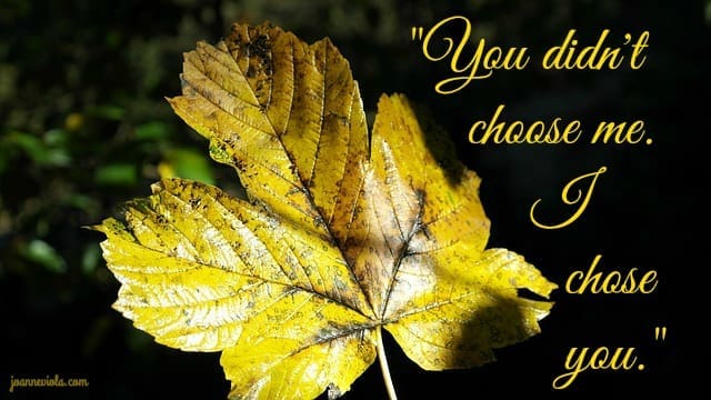 chose-you