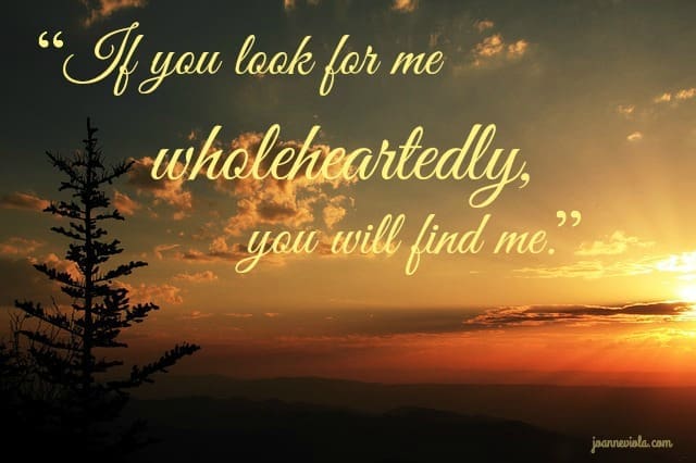 wholeheartedly
