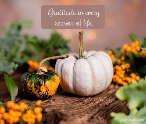 Season