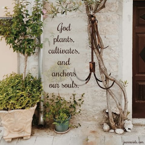 Planted, Cultivated & Anchored