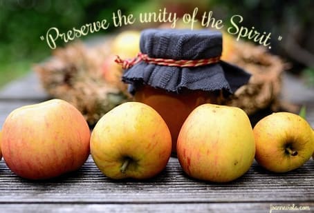 Preserve