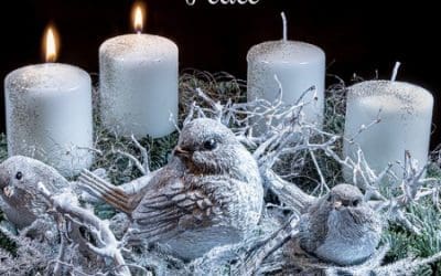 Peace