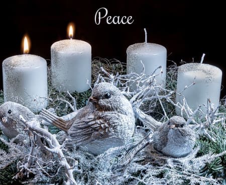 Peace