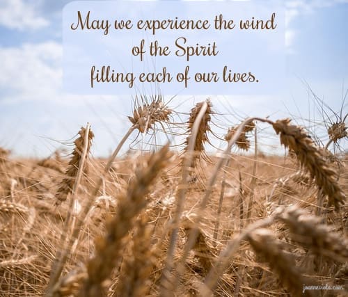 A New Wind {{Let’s Have Coffee}}