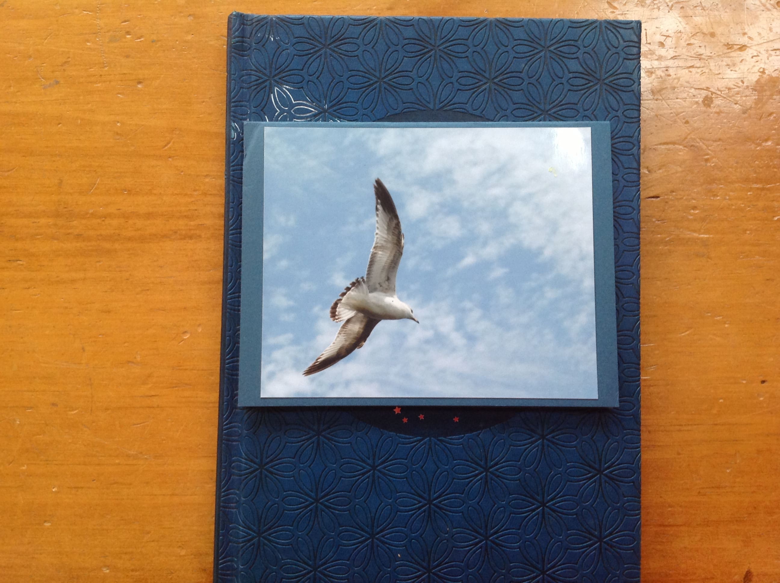 I Want to Soar