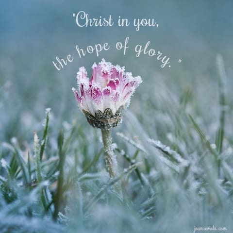 Christ in You