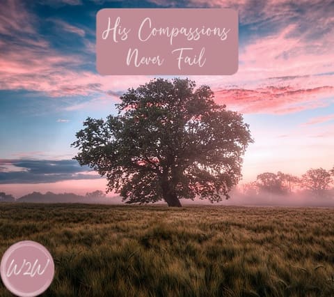 His Compassions Never Fail