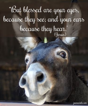 Eyes & Ears