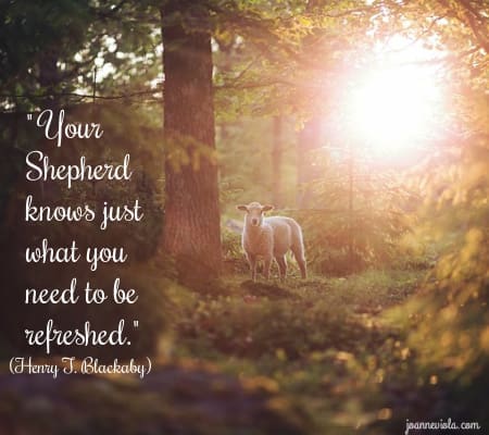 He Restores My Soul