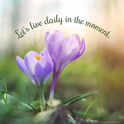 Live Daily in the Moment  {{Let’s Have Coffee}}
