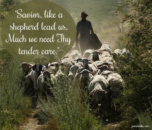 We Have a Shepherd  {{Let’s Have Coffee}}