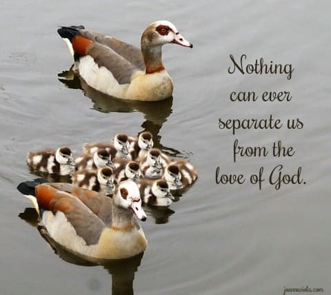 Nothing