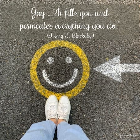 A Joyful Life