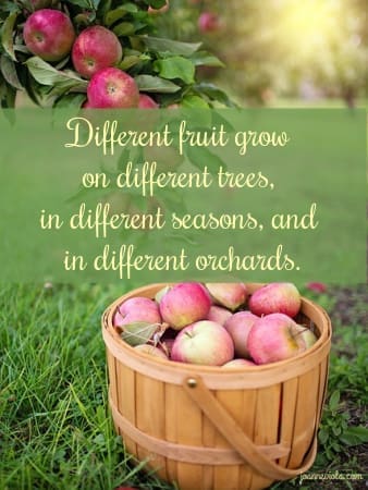 Fruitful Lives  {{Let’s Have Coffee}}