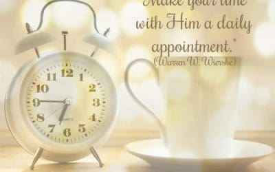 Make Daily Appointments