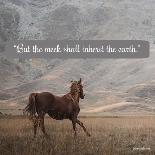 The Inheritance of the Meek