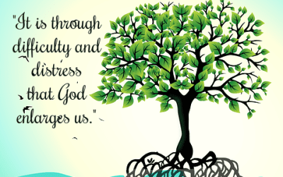 We Can Grow