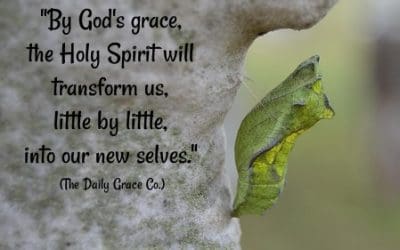 The Race, Grace & Change