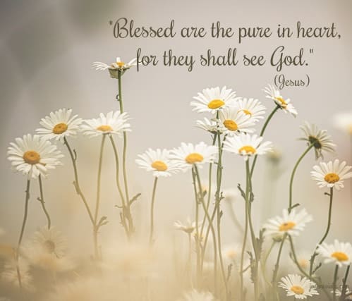 The Pure Will See & Sing {{Let’s Have Coffee}}