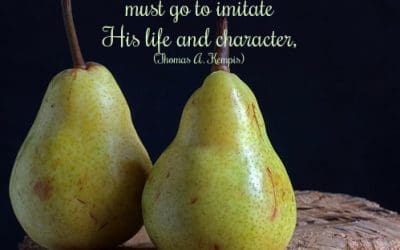 Are We Imitations?