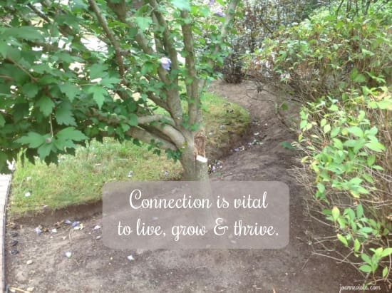 Stay Connected {{Let’s Have Coffee}}