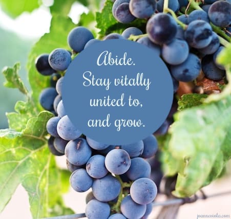 Abide & Grow {{Let’s Have Coffee}}
