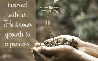 The Growth Process