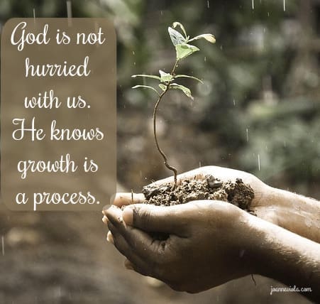 The Growth Process {{Let’s Have Coffee}}