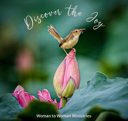 Discover the Joy