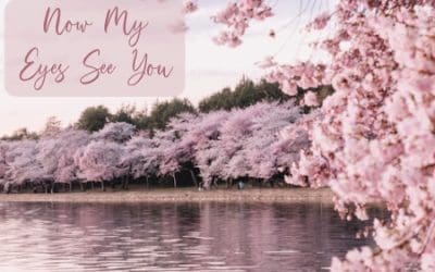 Now My Eyes See You