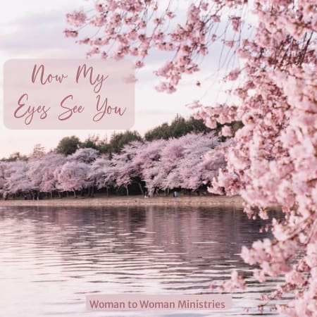 Now My Eyes See You
