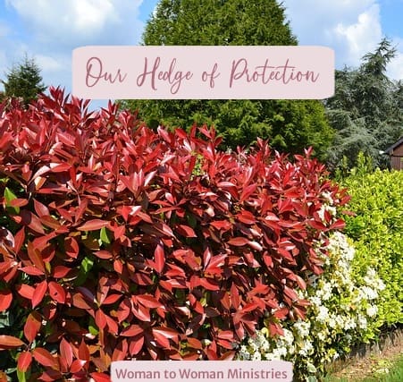 Our Hedge of Protection